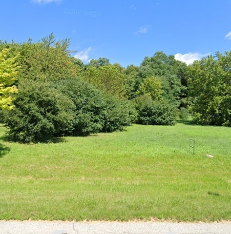 a view of a yard with a tree