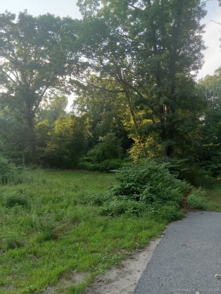 a view of a field of grass and trees