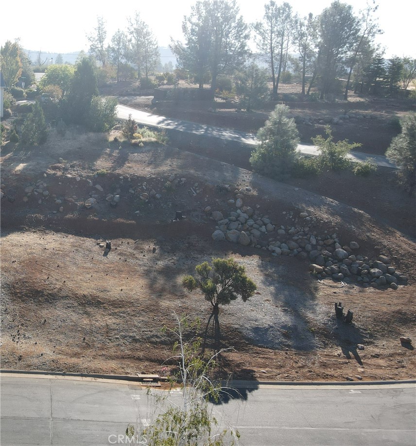 a view of a yard with a fountain