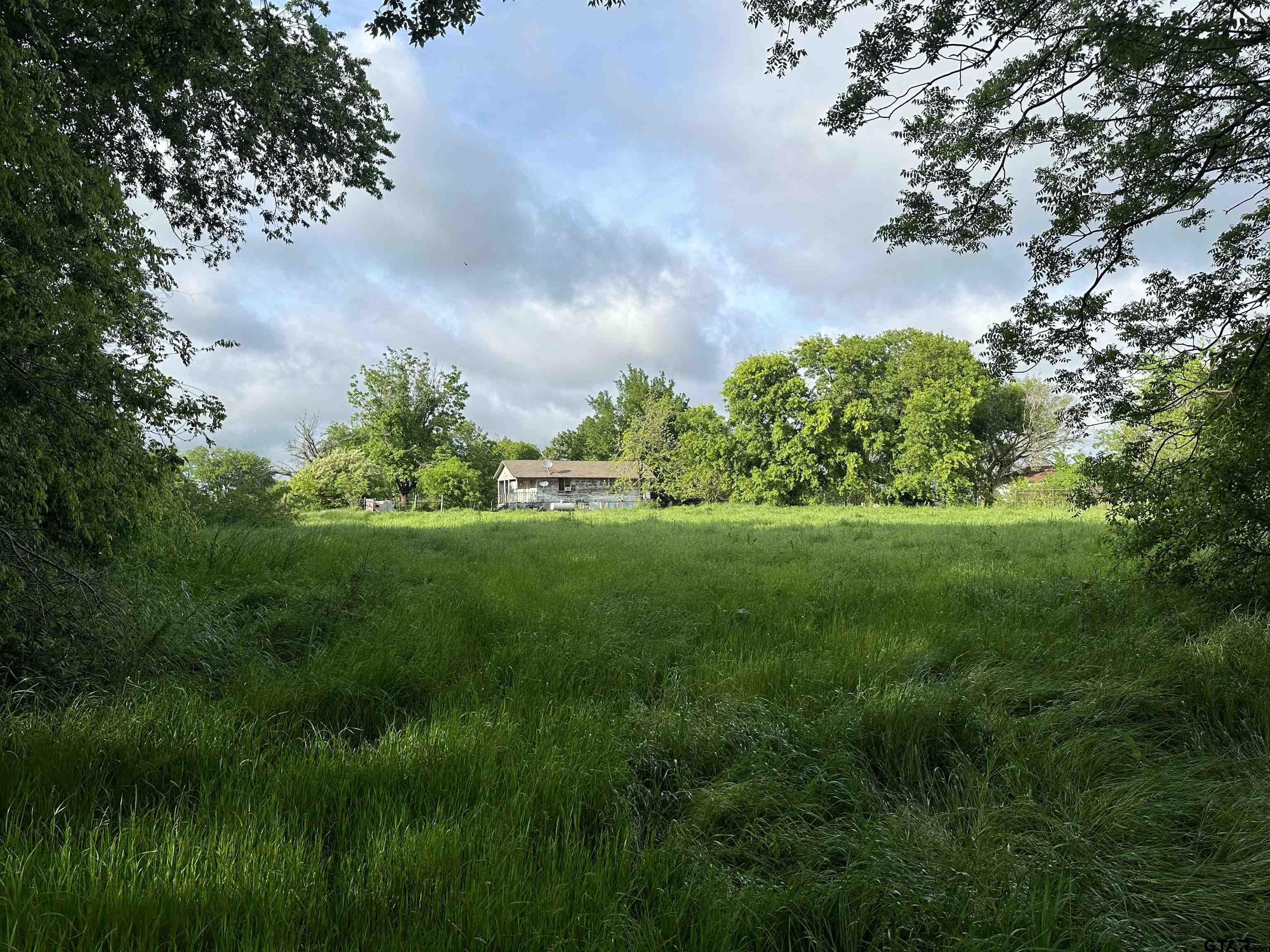 a view of garden with trees in the background