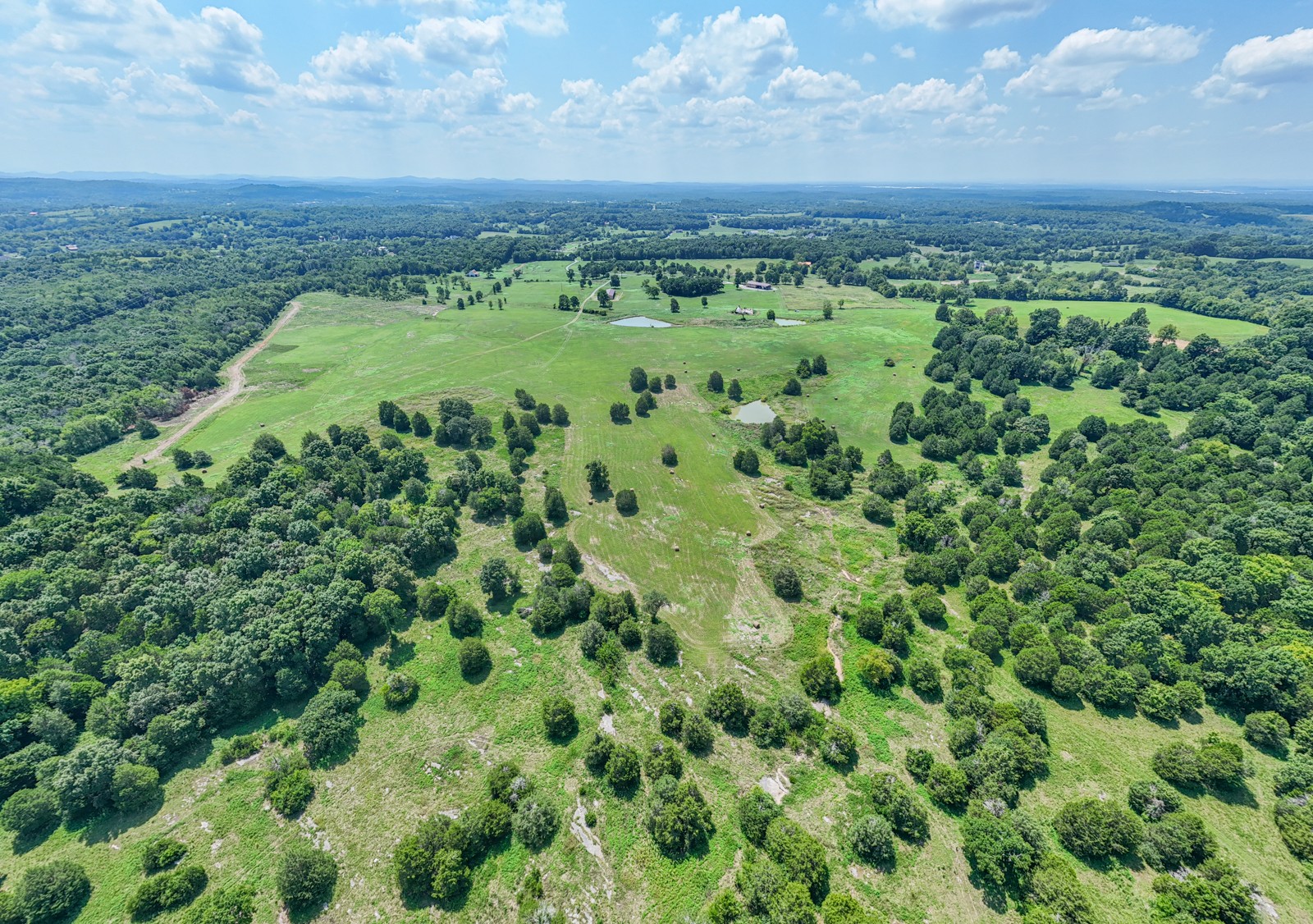 a view of a green field with lots of bushes