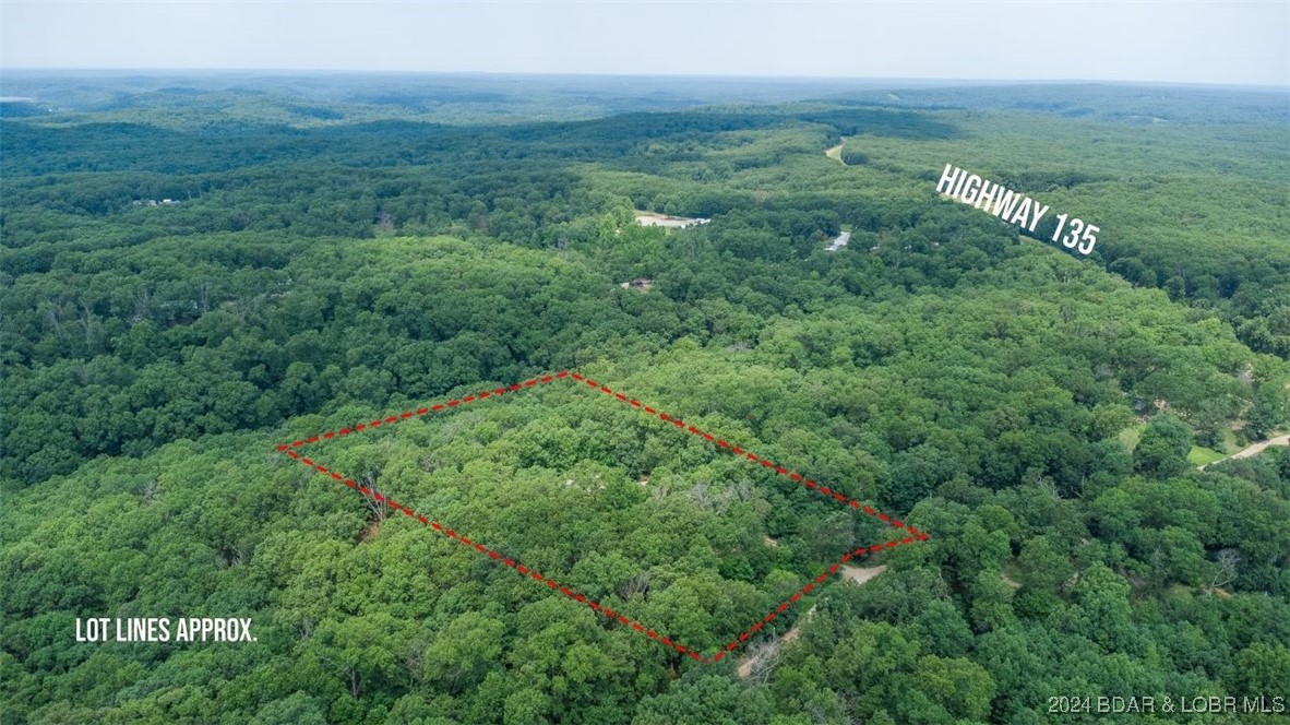 Secluded 5.59 acres of trees for plenty of privacy