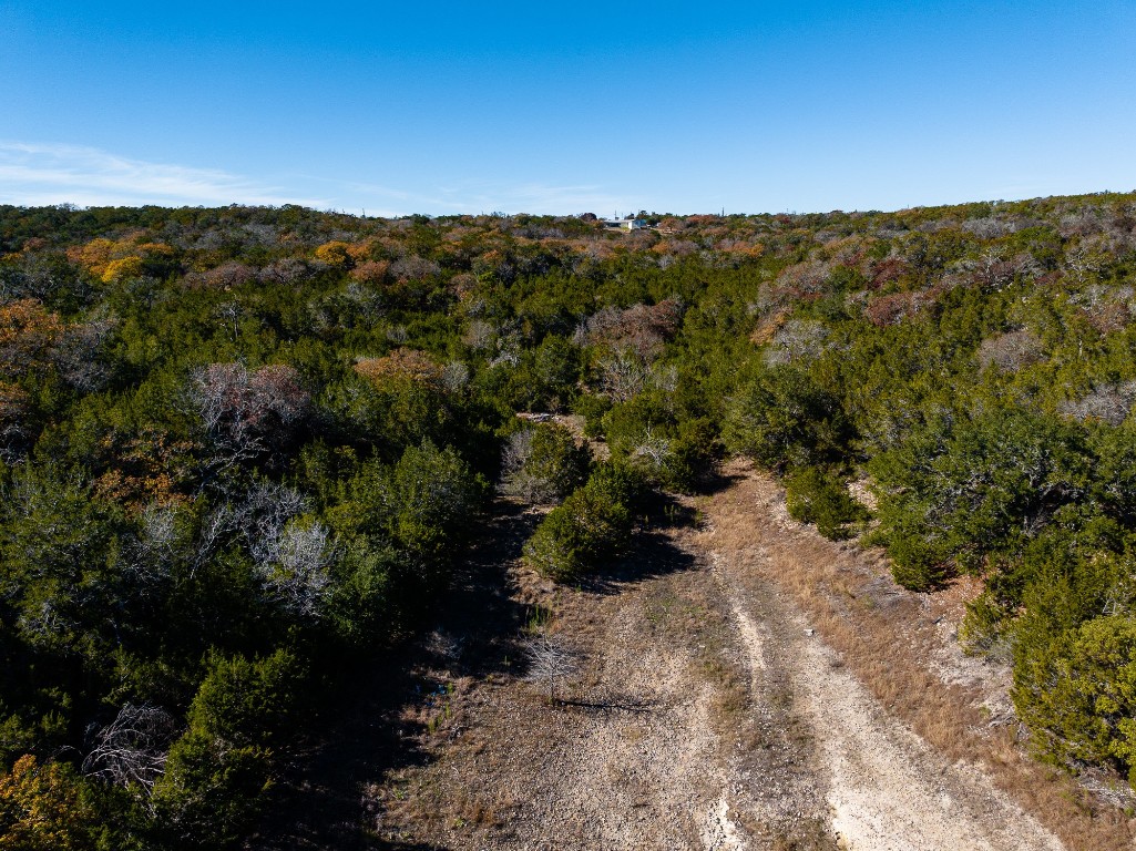 a view of a forest with a forest