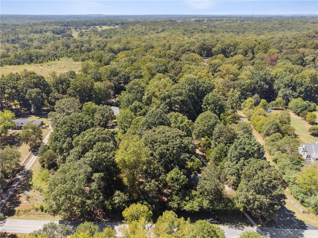 an aerial view of forest