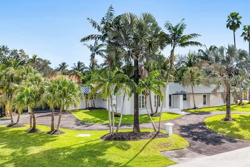 a swimming pool with lots of palm trees