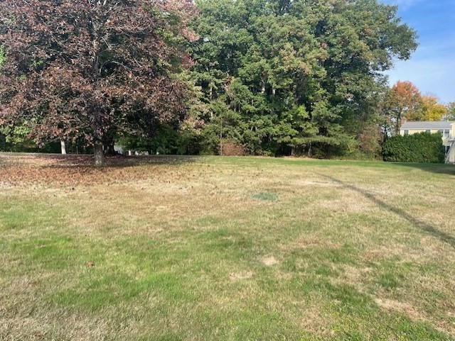 a view of a yard with a trees