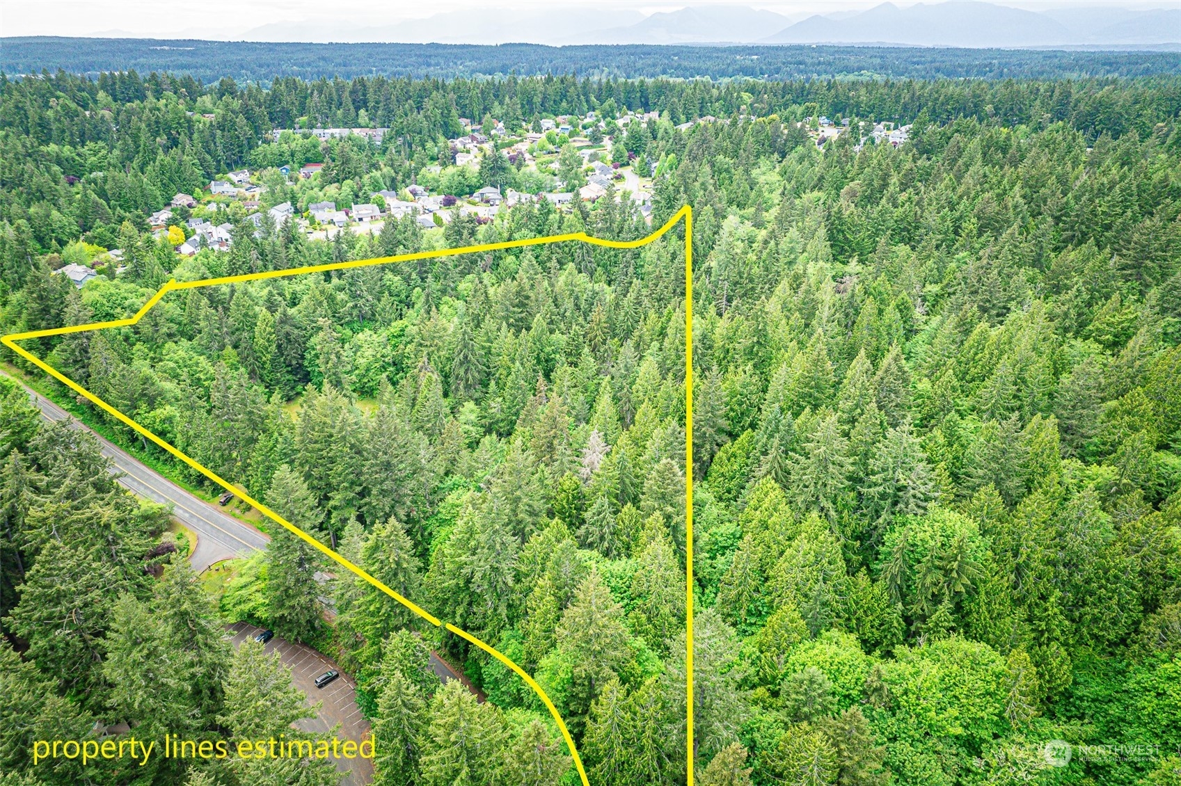 a view of a green field with lots of bushes