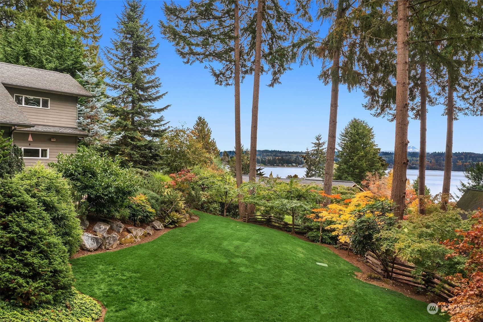 a view of a garden with a tree