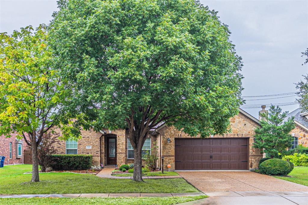 a view of a backyard with large trees