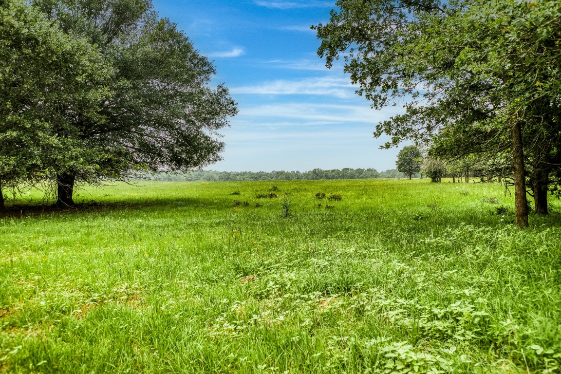 a view of an outdoor space and a yard