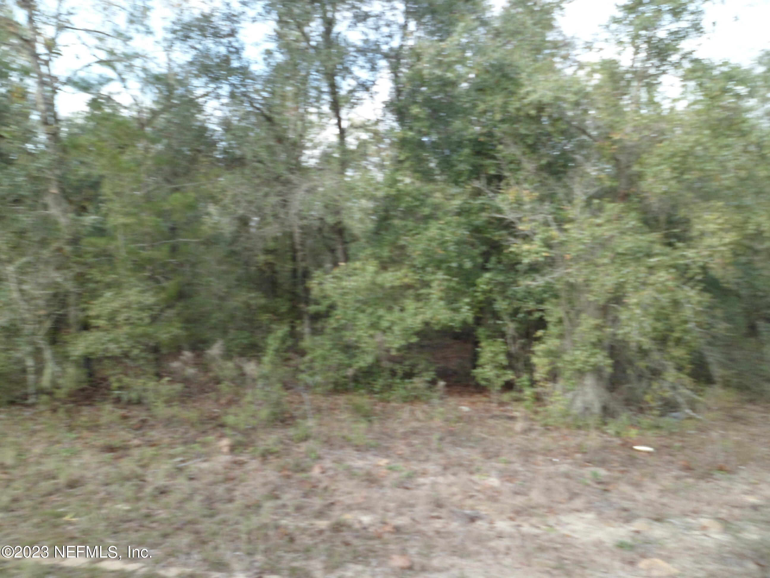 a view of a covered with trees