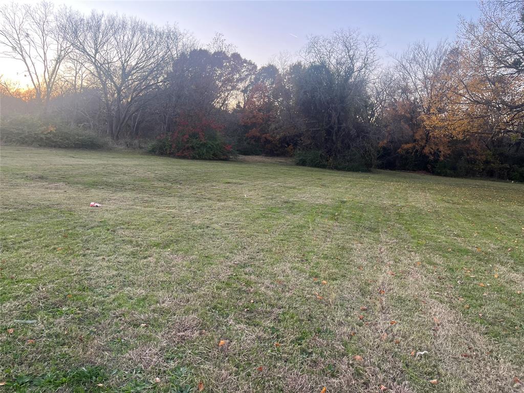 a view of a yard with a tree