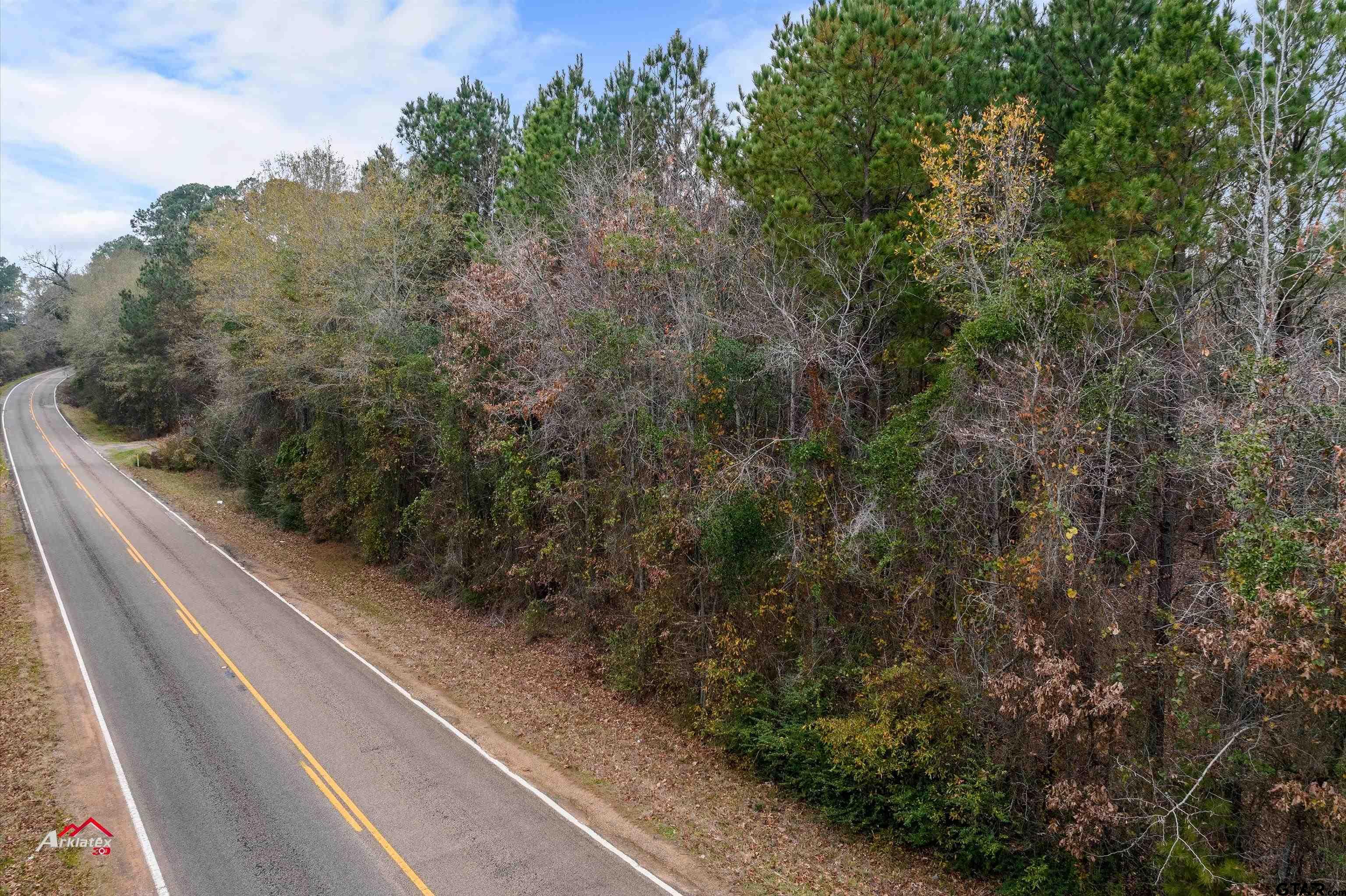 a view of a forest from a window