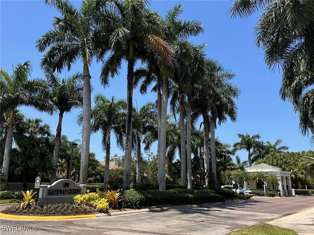 a view of a yard with palm trees