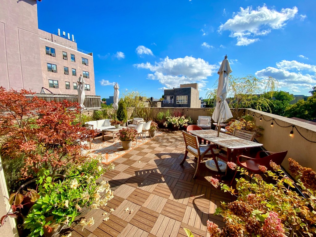 a outdoor space with lots of tall trees