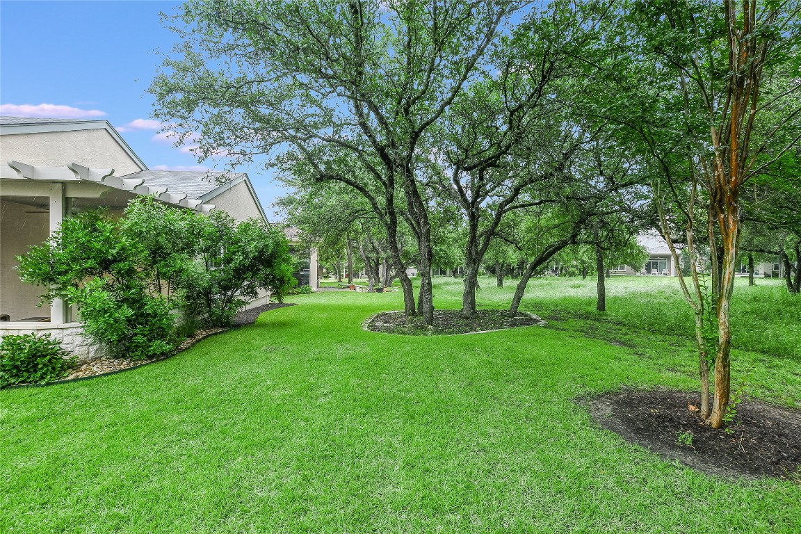 a view of a backyard with large trees