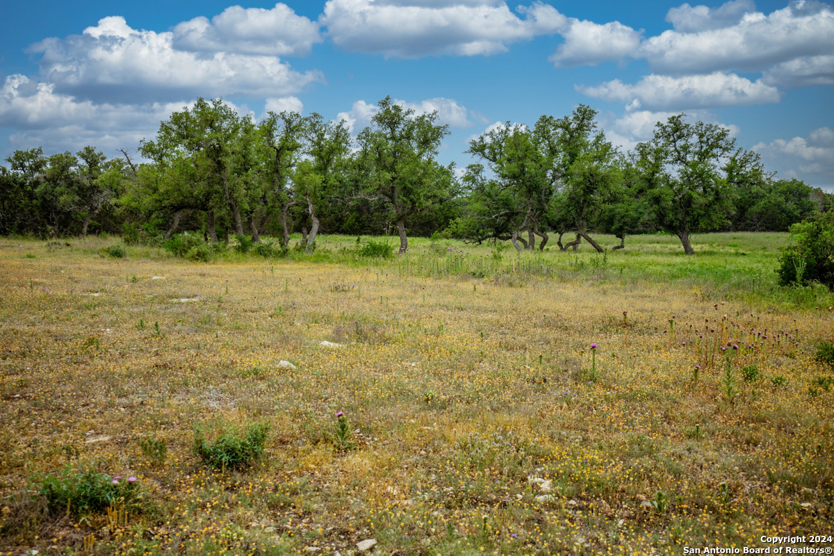 a view of a green field with wooden fence