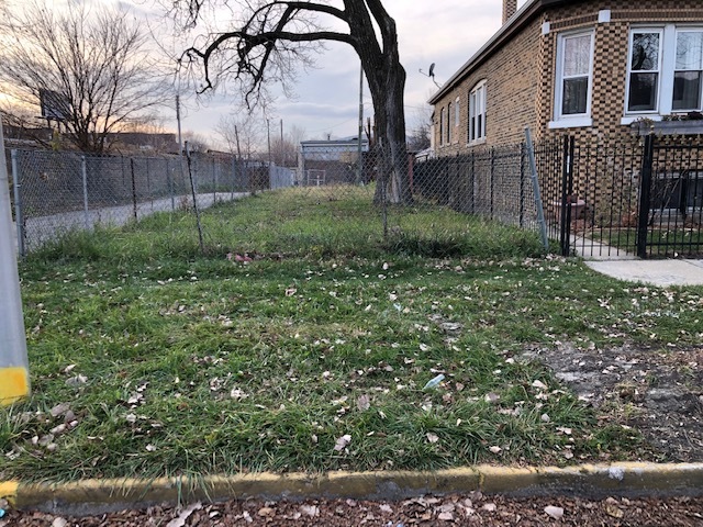 a view of a yard in front of a house