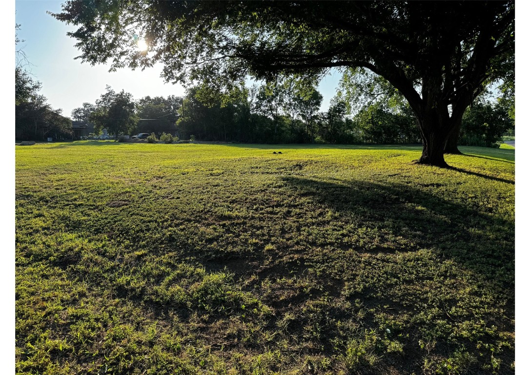 a view of a large trees with a yard