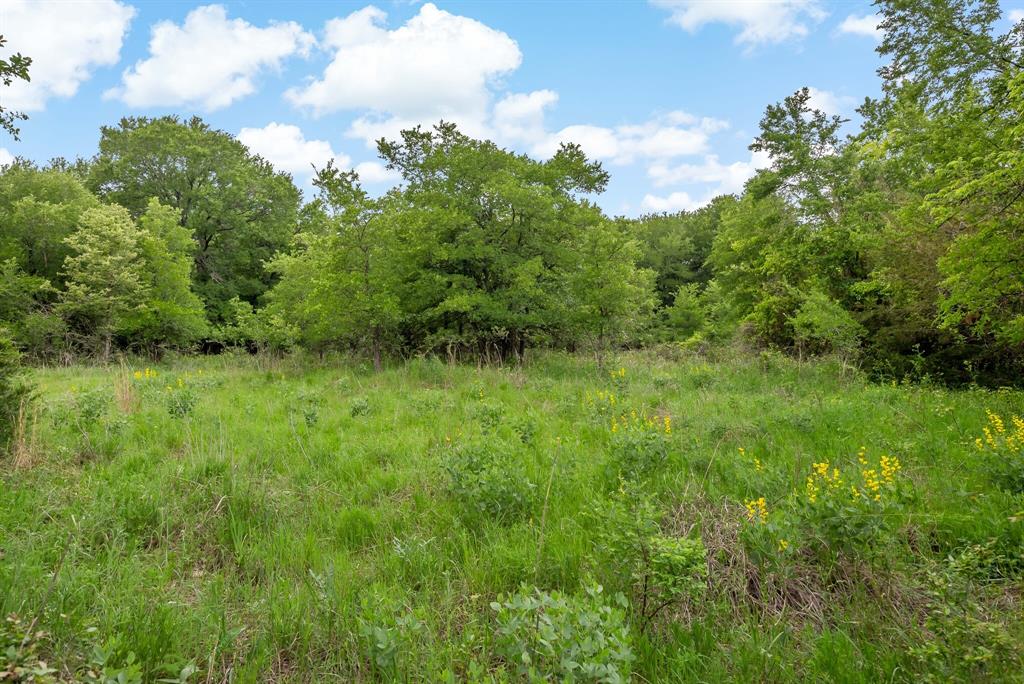 a big yard with lots of green space