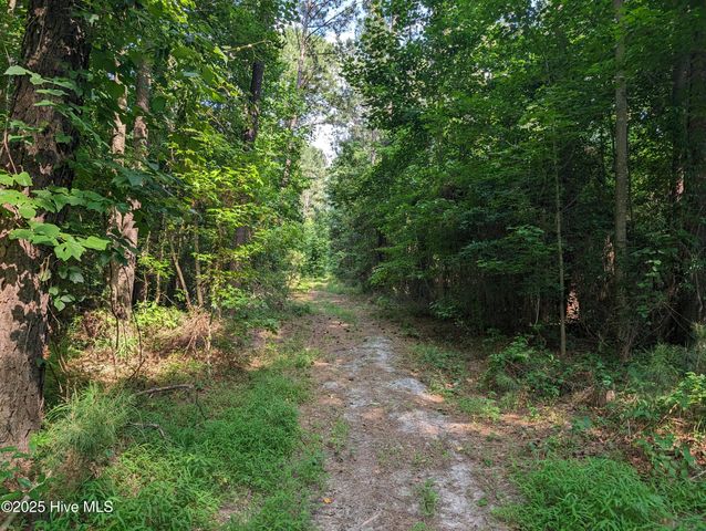 $137,500 | 4595 Mercer Mill Brown Marsh Road | Elizabethtown Township - Bladen County