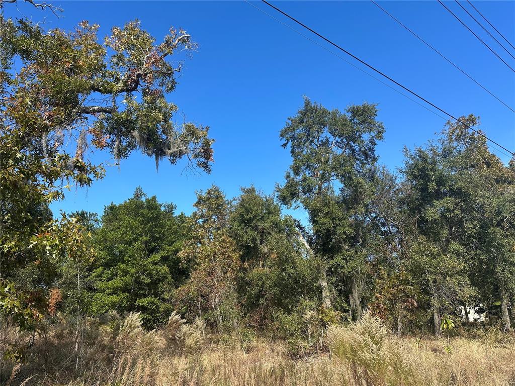 a view of a house with a tree in the background