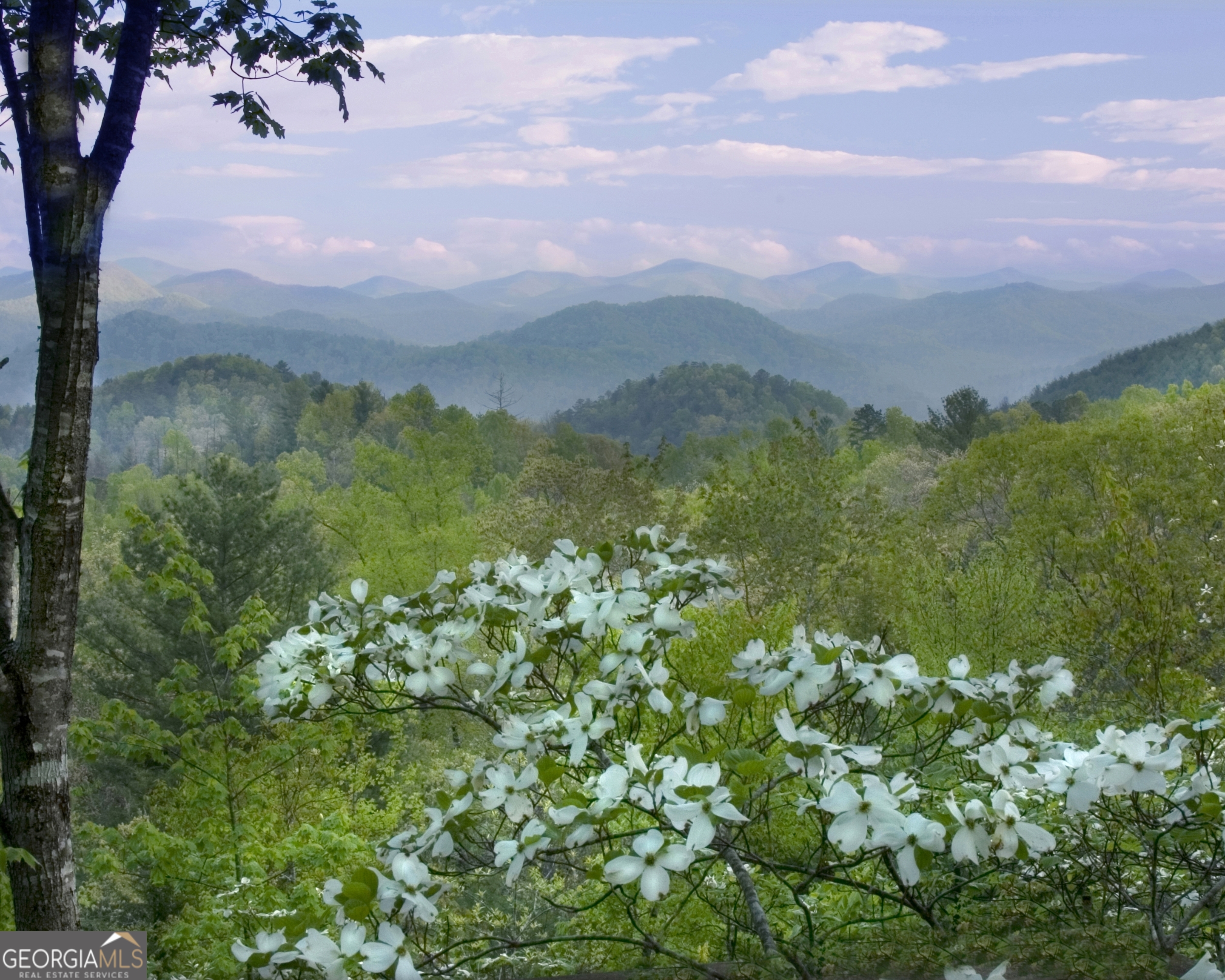 a view of a lake with a mountain in the background