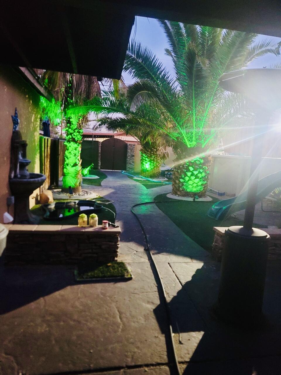 a view of a backyard with plants and a patio