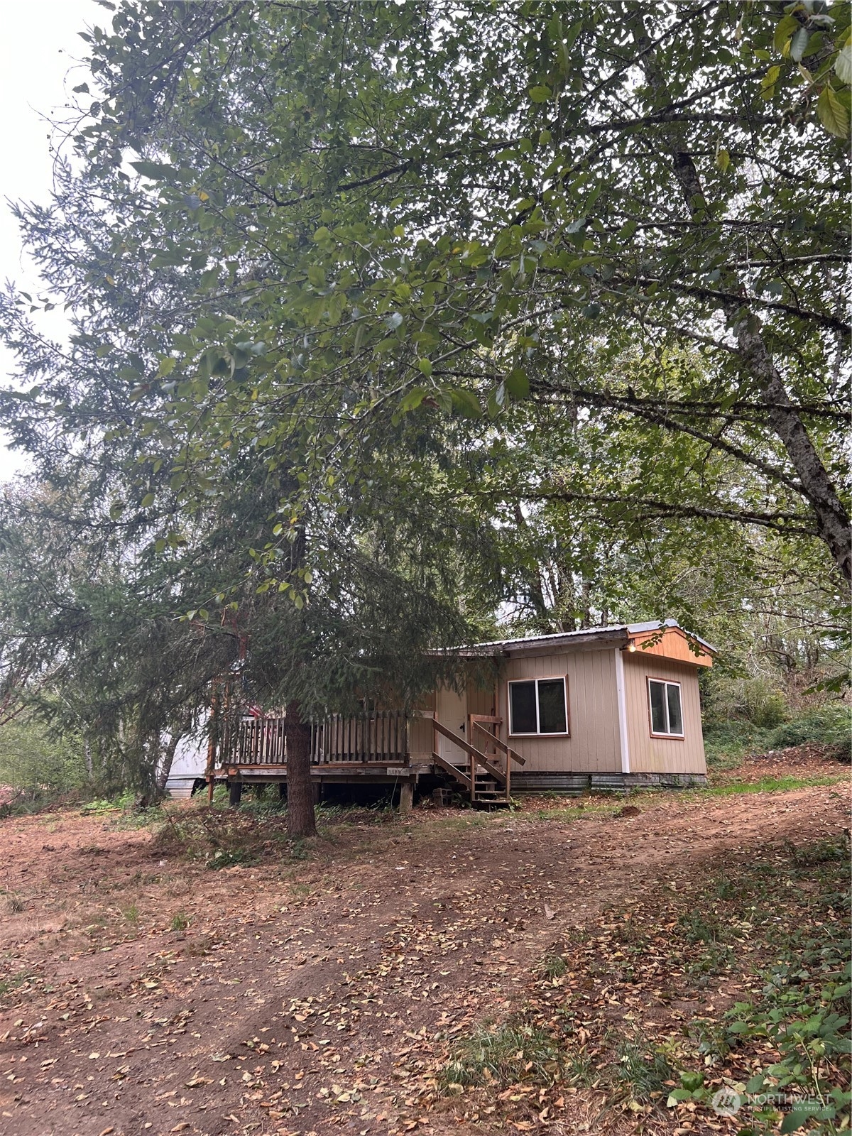 a large tree in front of a house