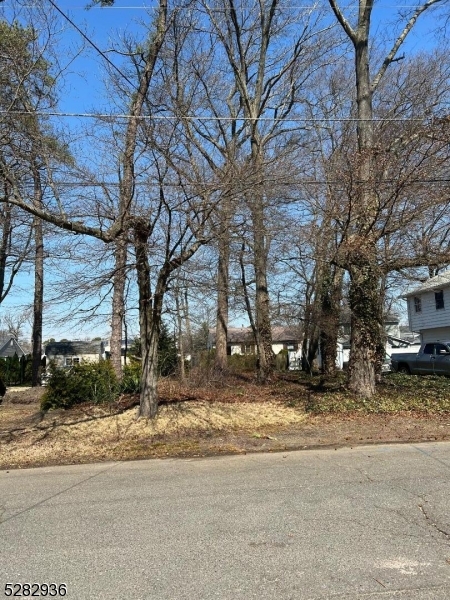 a backyard of a house with large trees