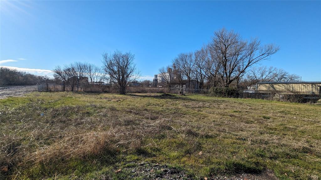 a view of a yard with an tree