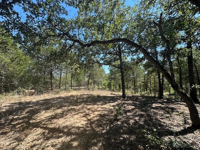 $110,000 | -tbd Lot 103 Tbd Drive | Lake Bastrop Acres