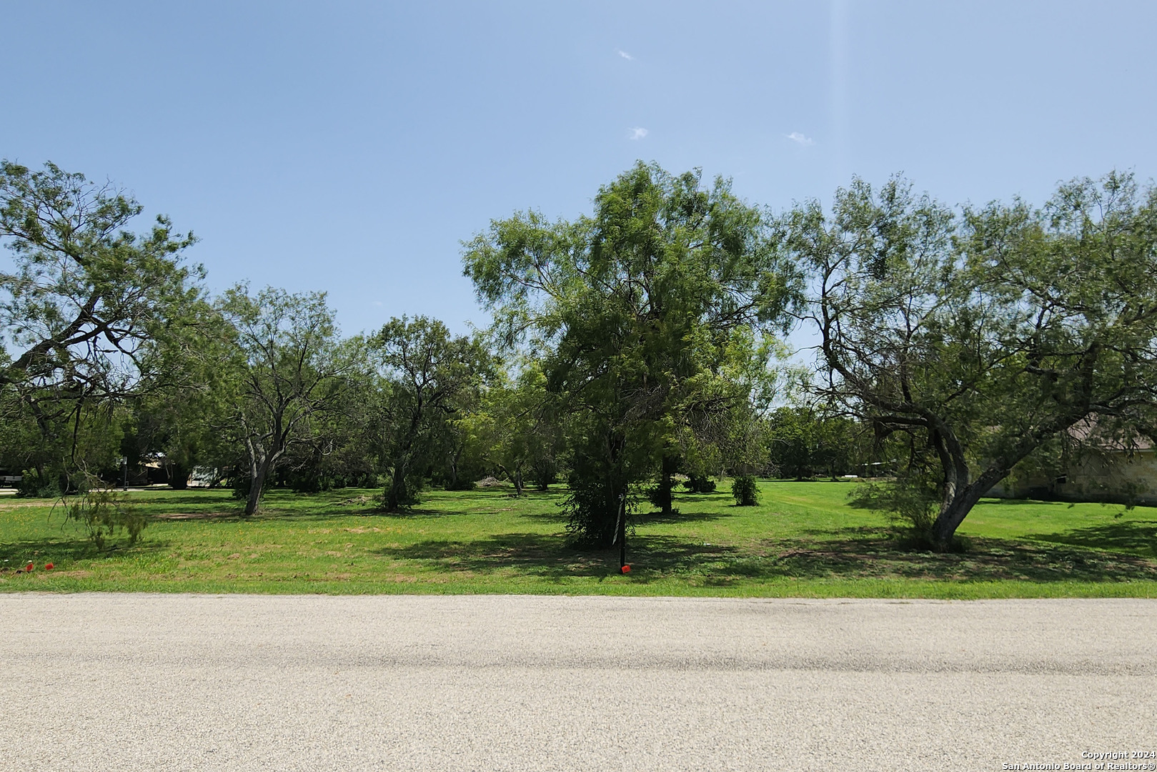 a grassy field with some trees in the background