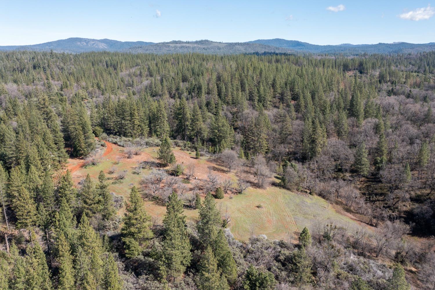 Approx. 6-acre ridgetop orchard planted in mature english walnut.