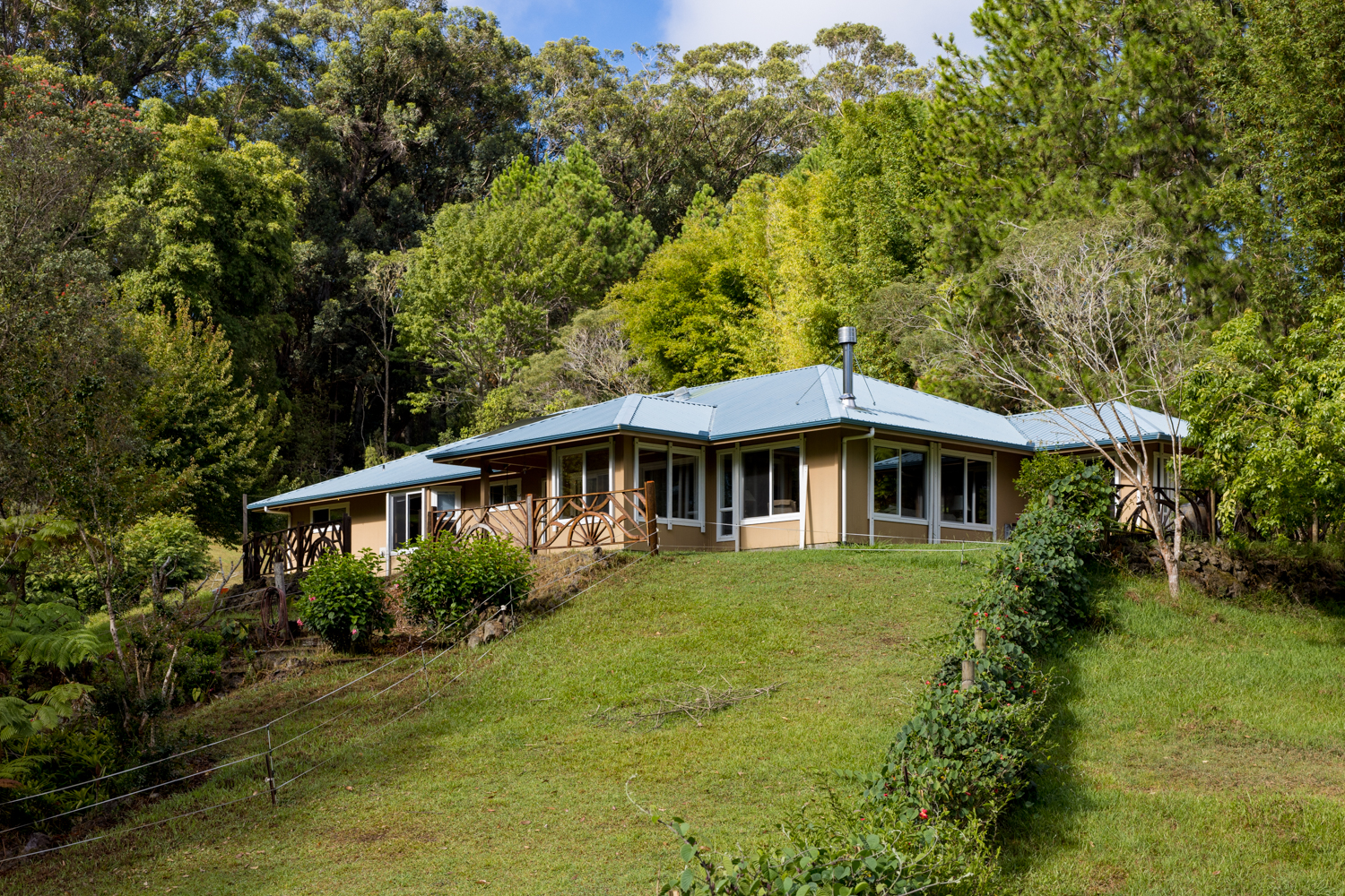 a big house with large trees and plants