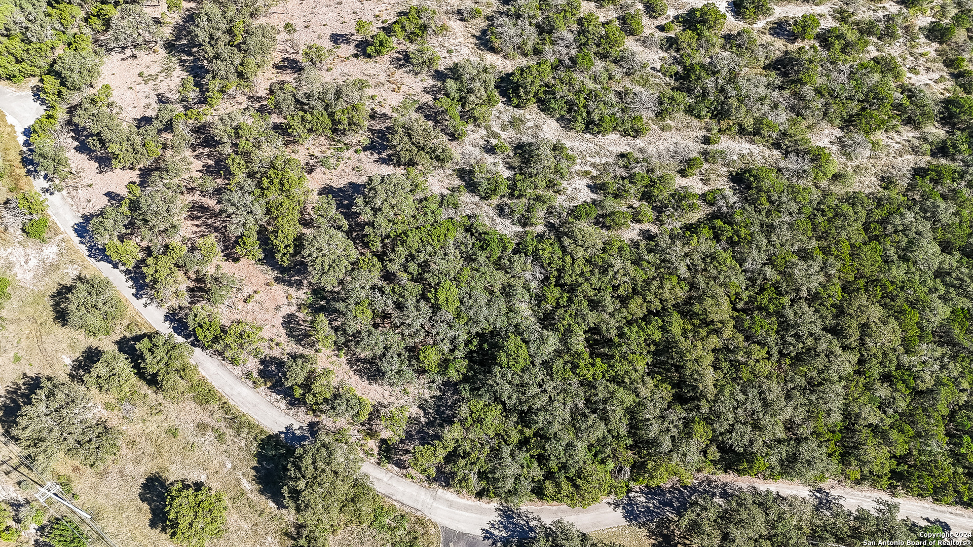 a view of a tree