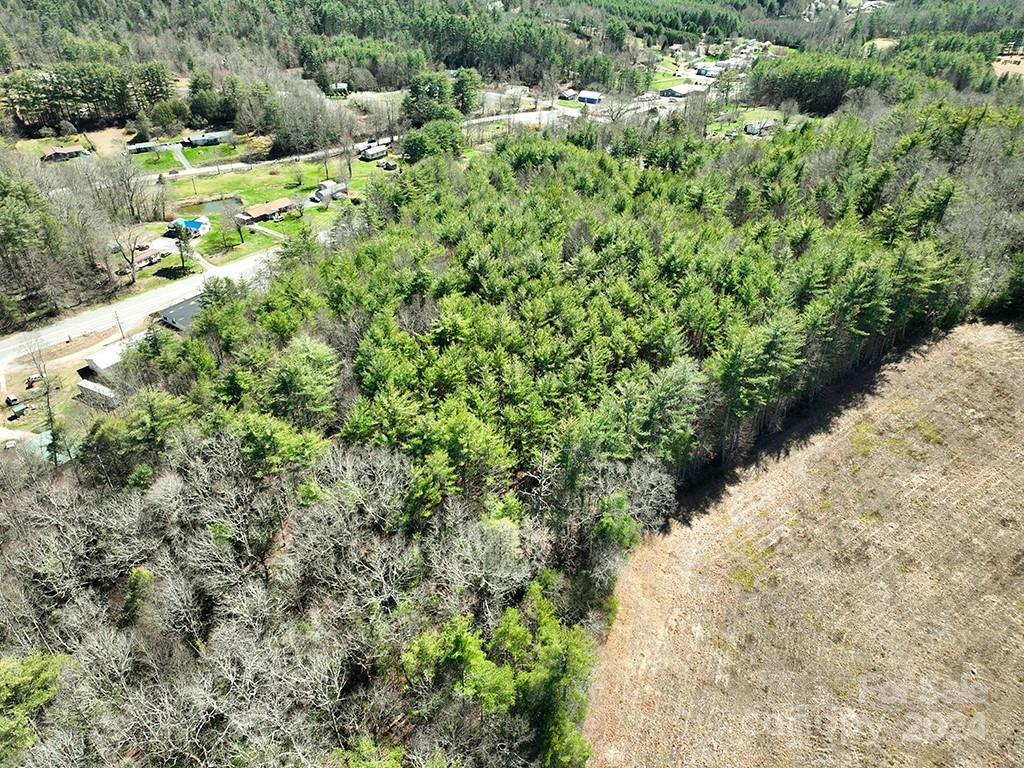 a view of a large yard with lots of green space