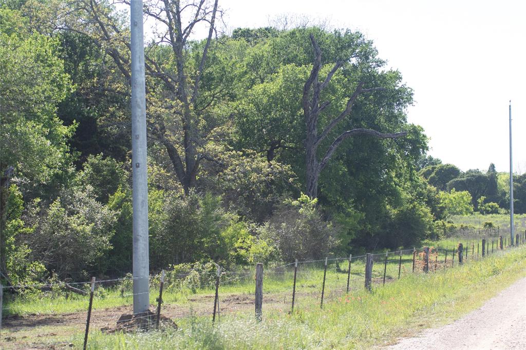 a view of a park with large trees