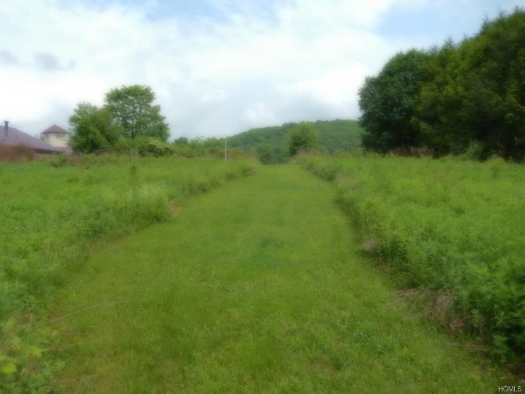 a view of a green field with lots of green space