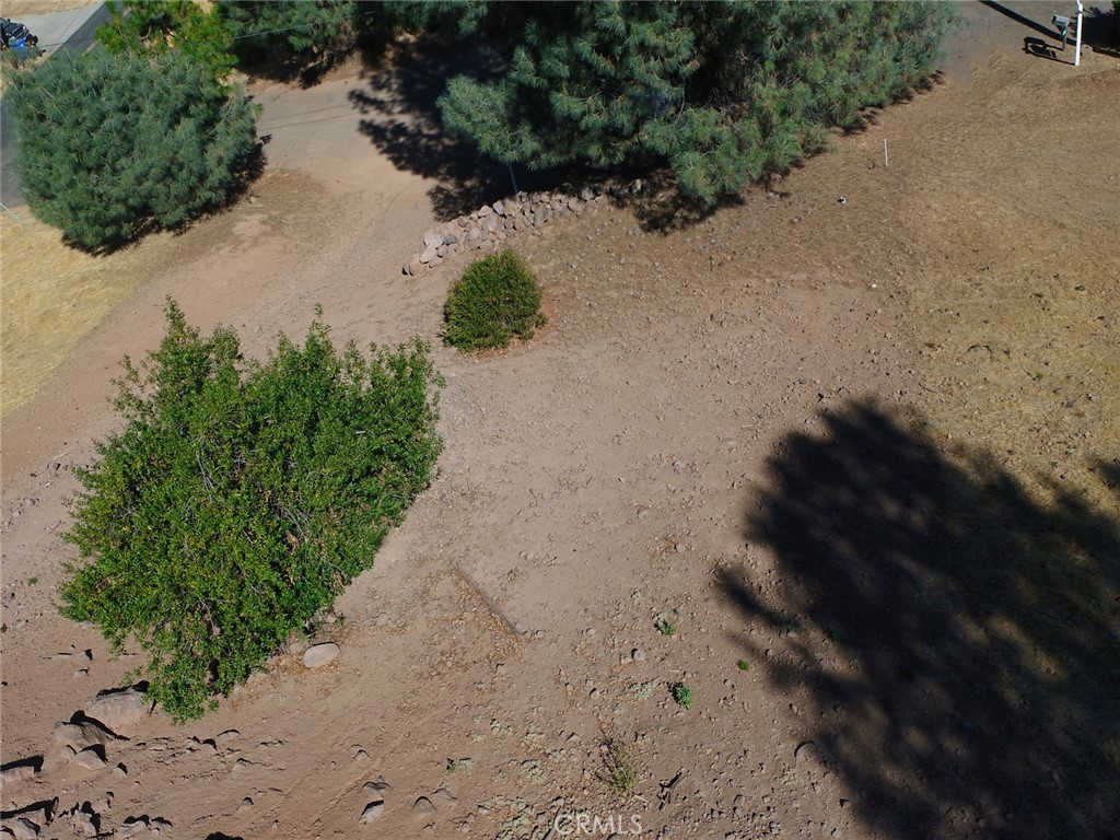 a view of a pathway with a yard