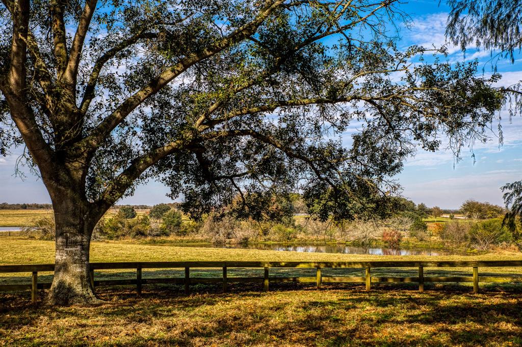 a view of a yard with wooden fence