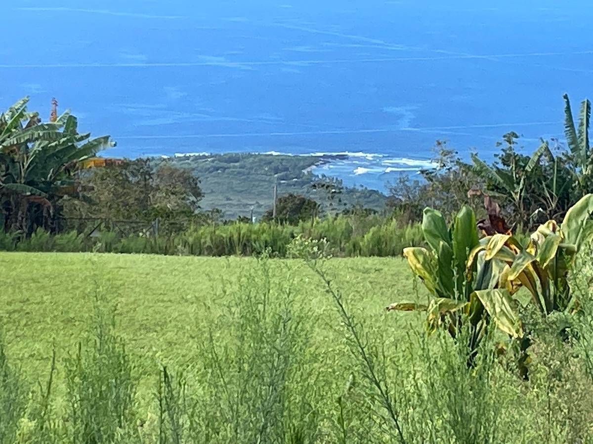 a view of a yard with an ocean