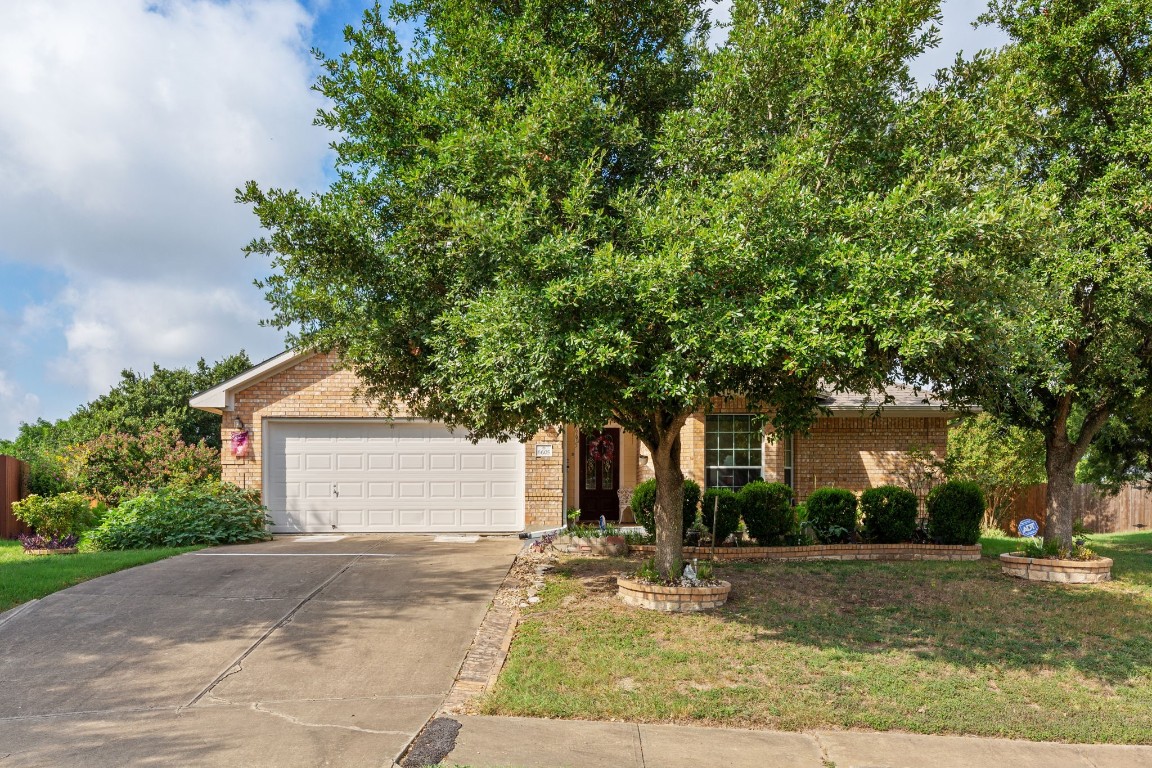 a view of a house with a yard and tree s