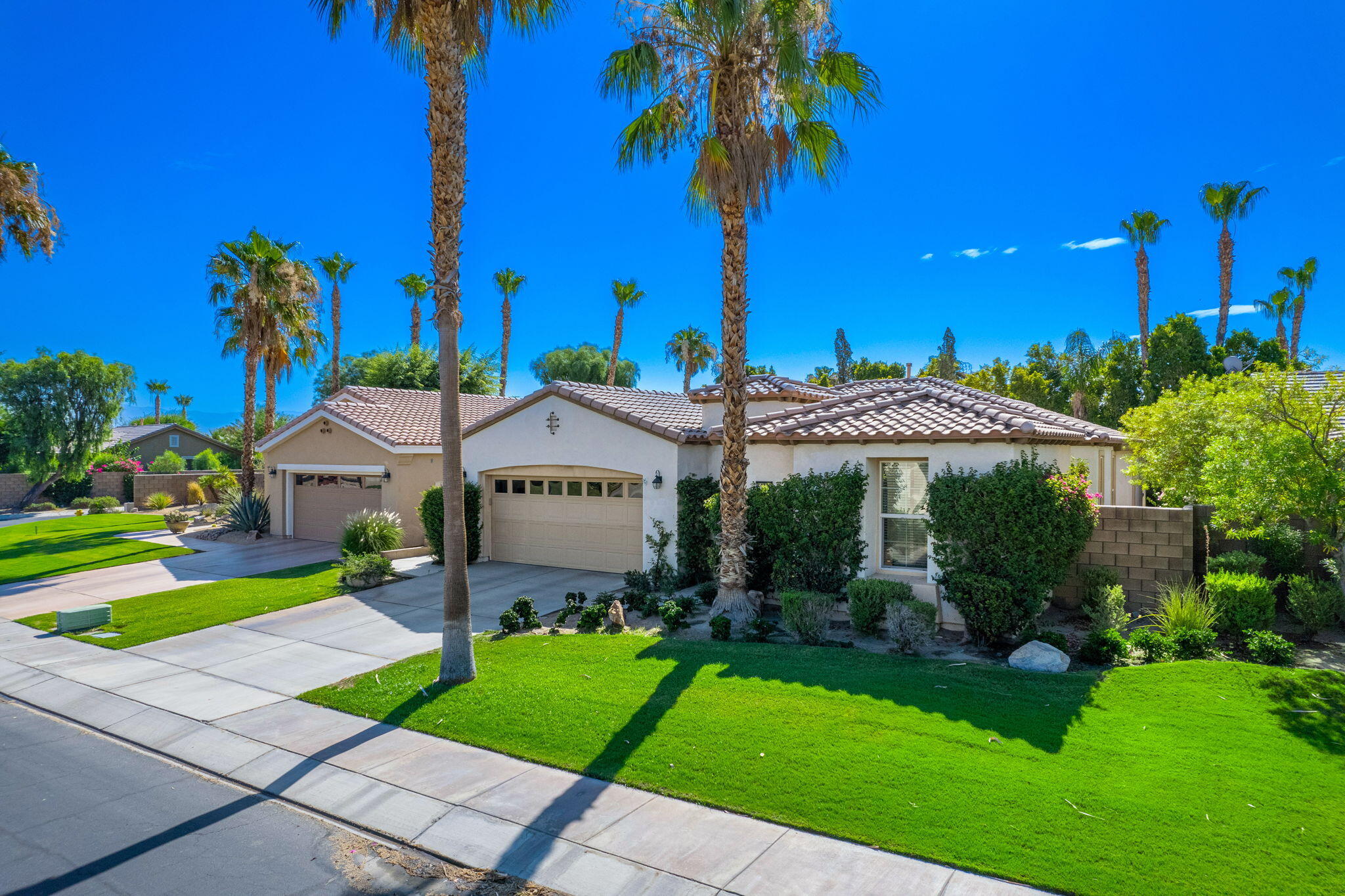 a view of a house with a yard and potted plants