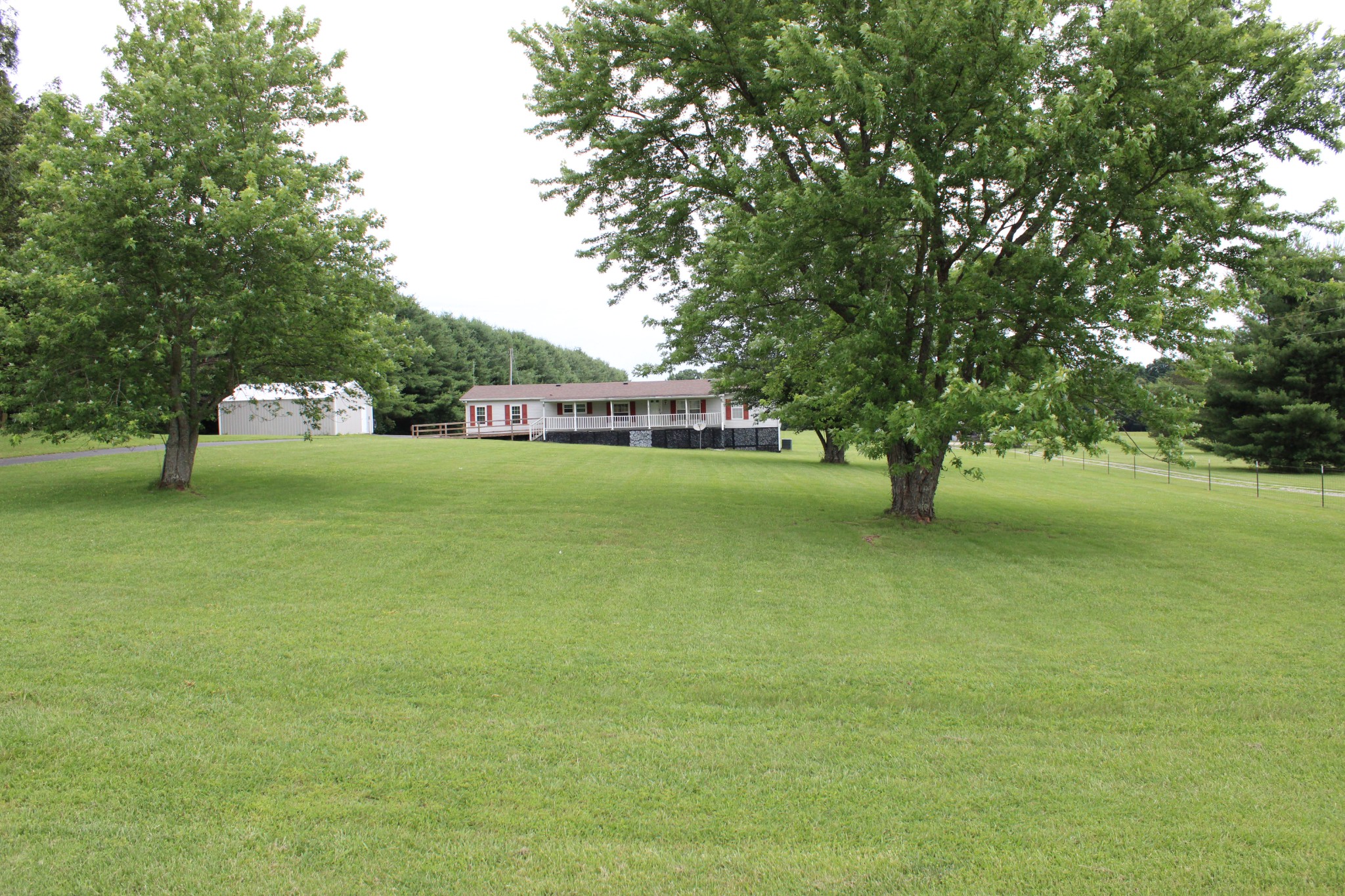 a view of a park with large trees