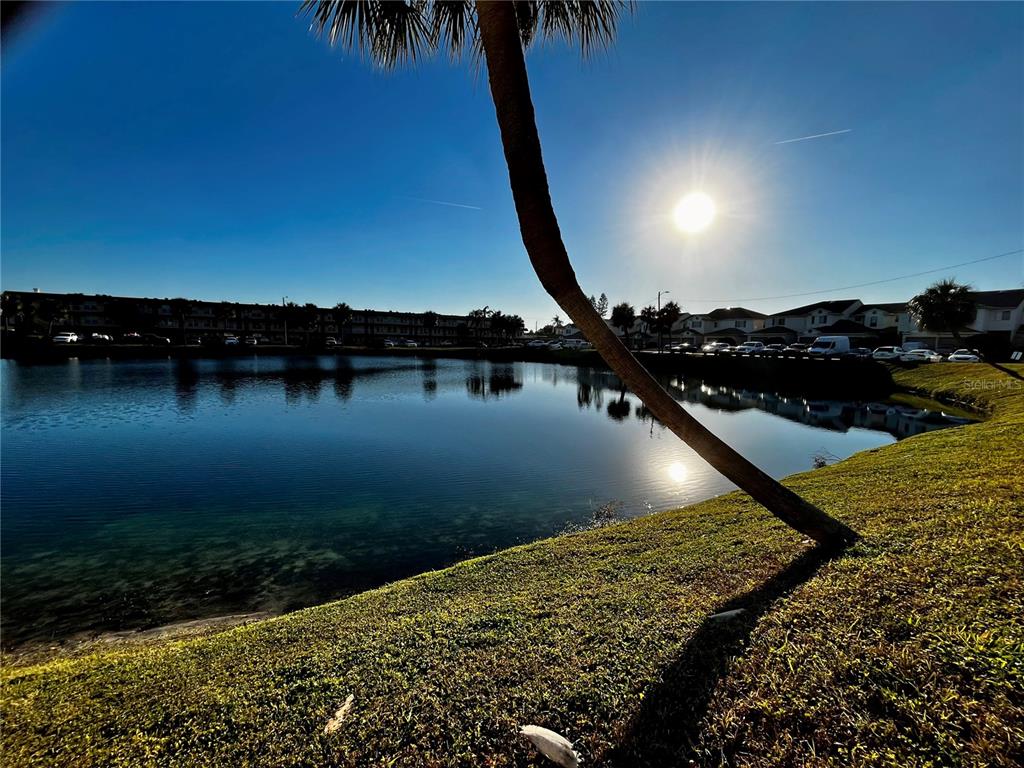 a view of a lake in a residential house