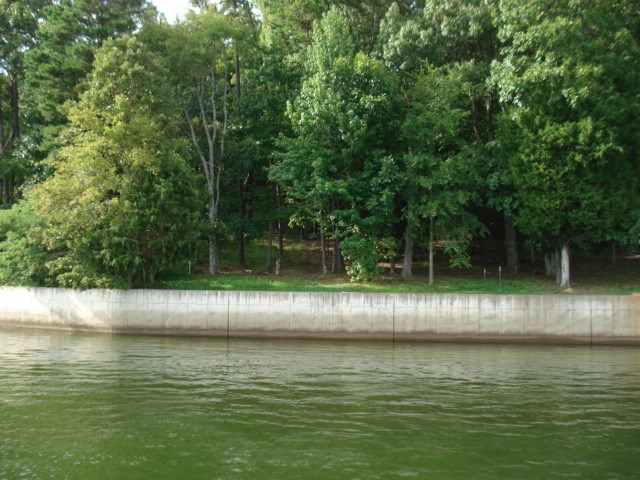 a view of a lake