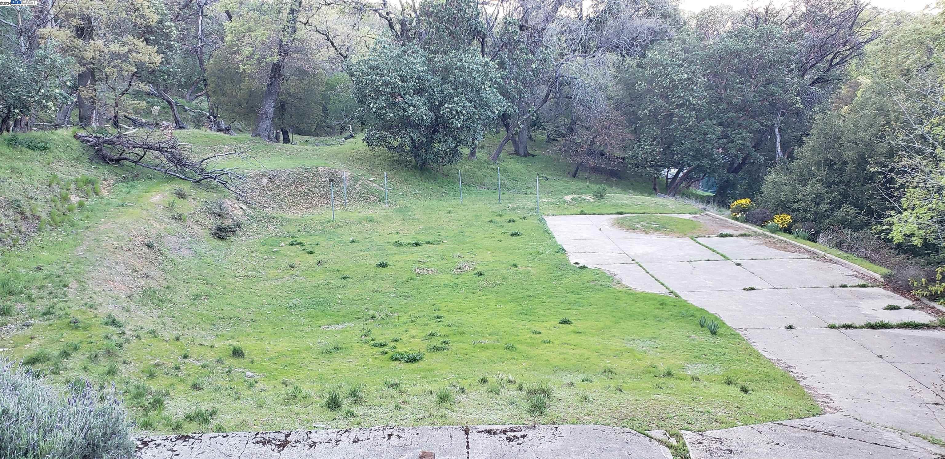 a backyard of a house with lots of green space