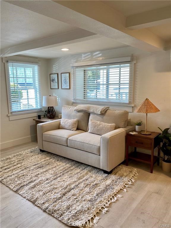 a living room with furniture and a rug