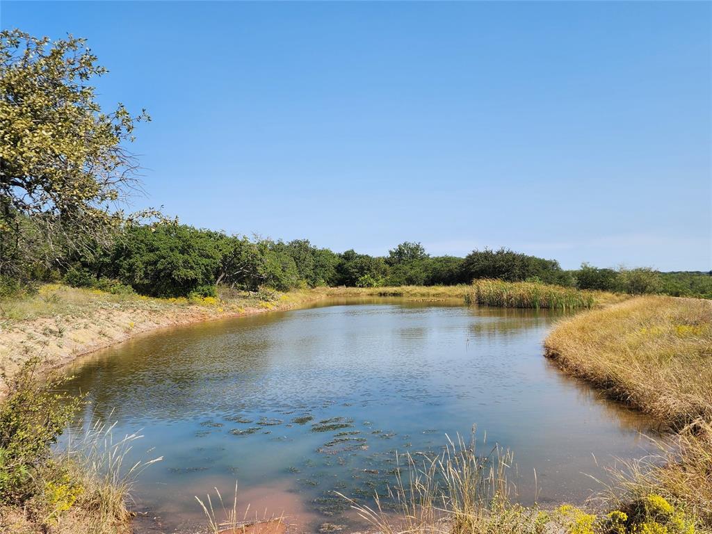 a view of lake with green space